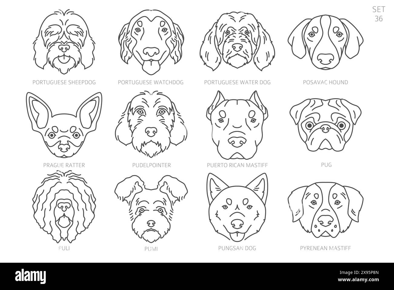 Dog head Silhouettes in alphabet order. All dog breeds. Simple line vector design. Vector illustration Stock Vector