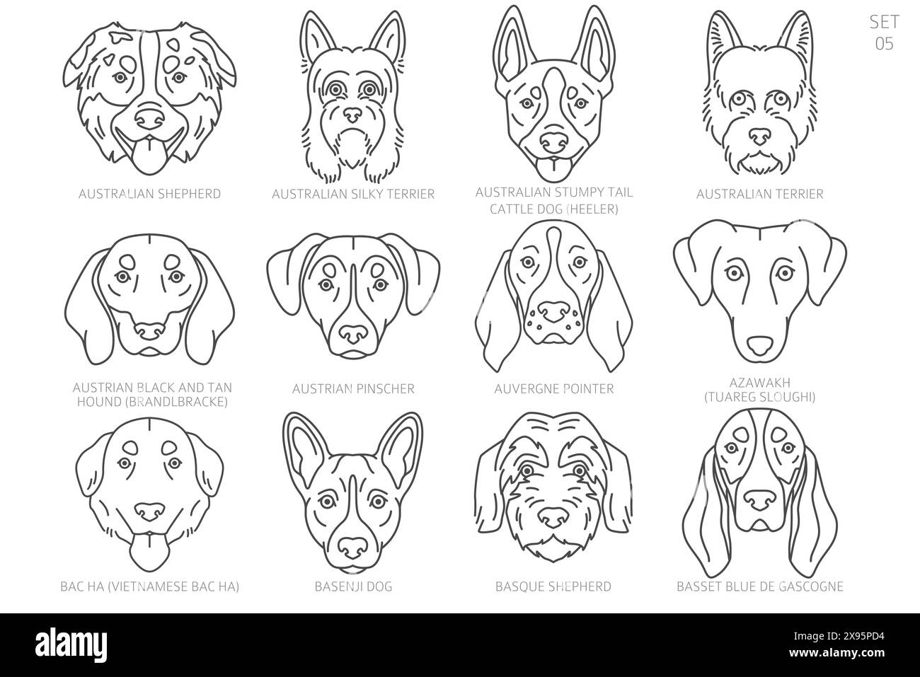 Dog head Silhouettes in alphabet order. All dog breeds. Simple line vector design. Vector illustration Stock Vector