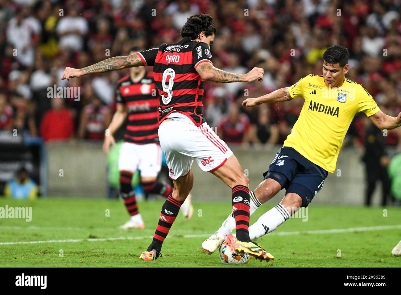What’s Next? Arsenal’s Focus Shifts to Domestic Challenges