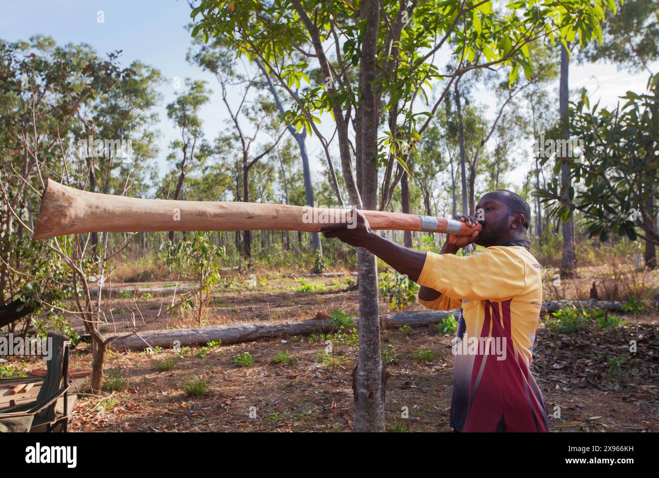 Aboriginal elder playing a freshly cut didgeridoo, Nyinyikay Homeland, East Arnhem Land, Northern Territory, Australia, Pacific Stock Photo