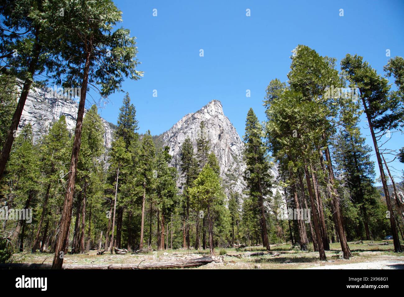 Three brothers yosemite national park hi-res stock photography and ...