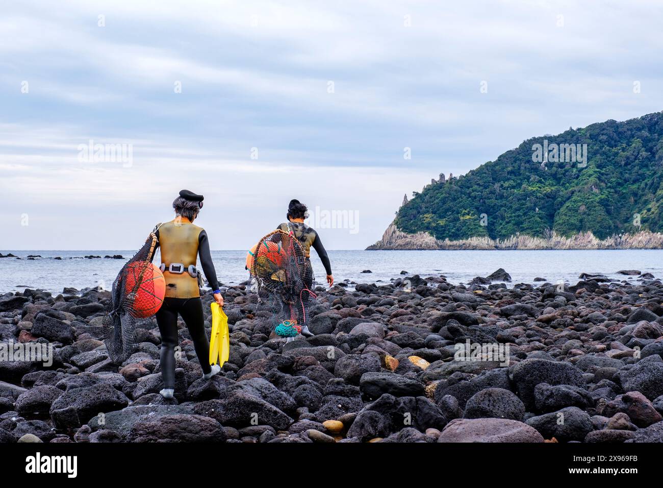 Haenyeo women, famous for diving into their eighties and holding their breath for up to two minutes, diving for conch, octopus, seaweed, and other sea Stock Photo