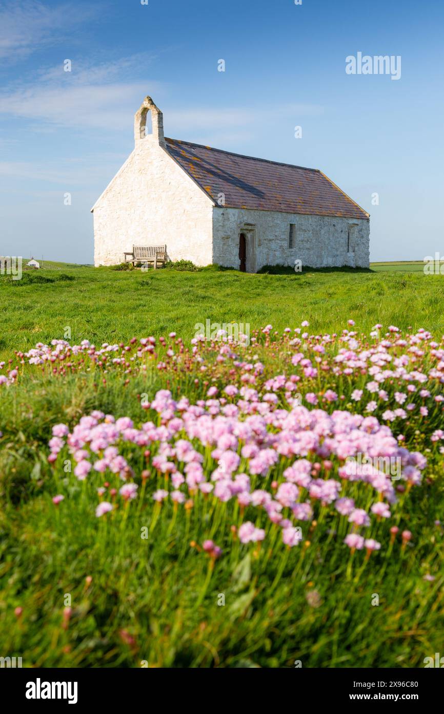 St Cwyfan's Church, Llangwyfan, Anglesey, Wales, UK 2024 Stock Photo ...