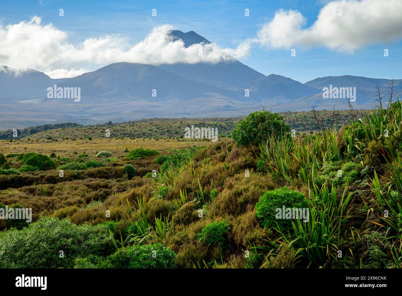 New Zealand, North Island, Tongariro National Park, Stock Photo