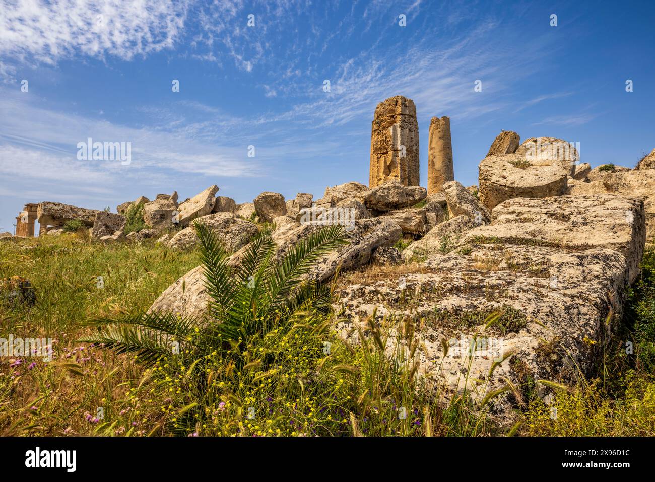 The ruins of the ancient Greek Temple G at Selinunte, Sicily Stock Photo