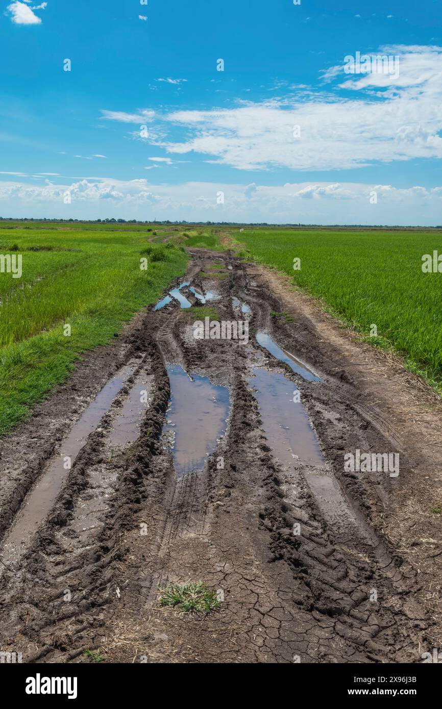 Wheel Track Rural Road Wheel tracks on the soil in the road Stock Photo - Alamy