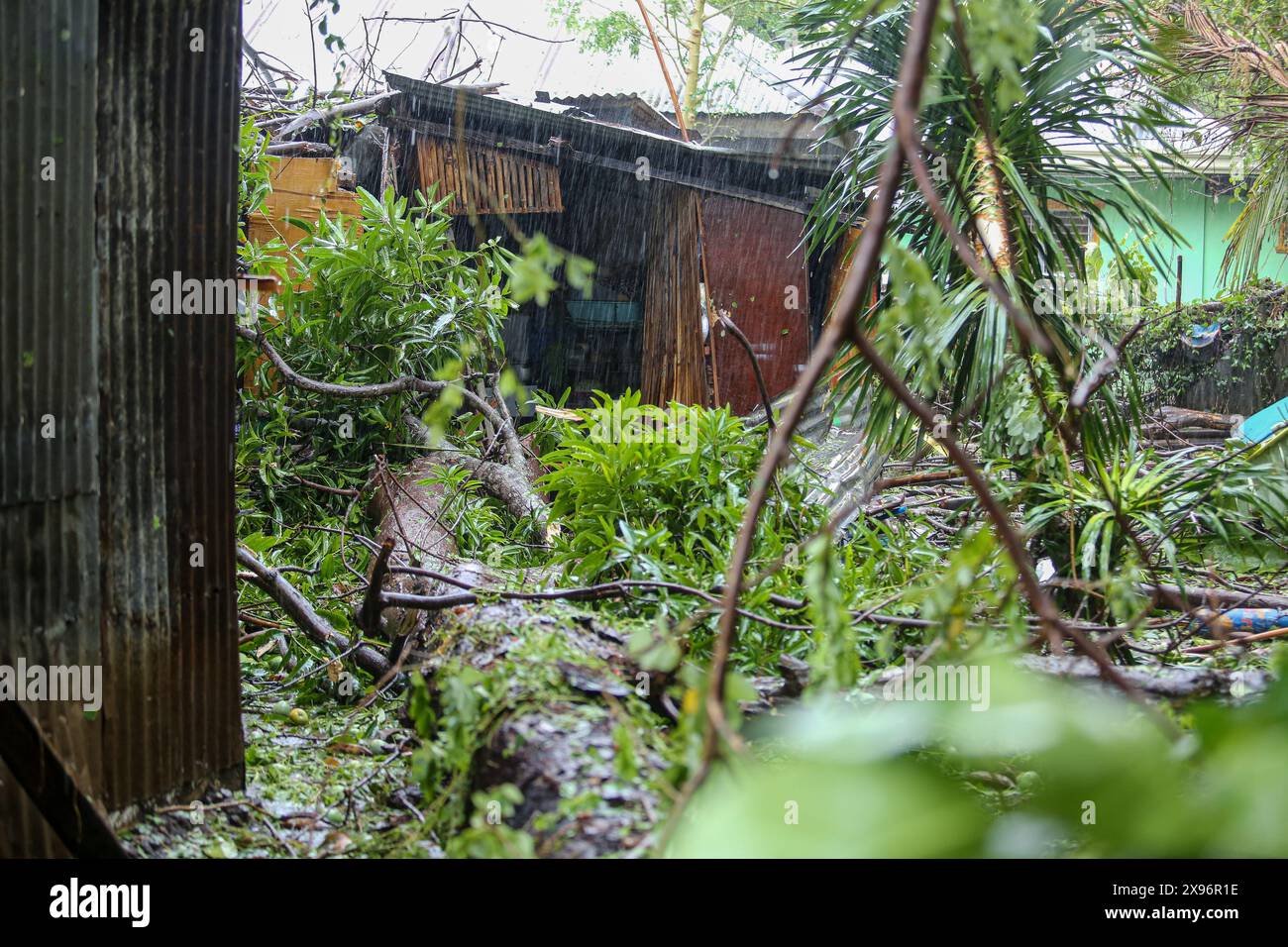 Laguna, Calabarzon, Philippines. May 28,2024: A Filipino's house crushed by mango & Kapok trees, largest trunk 1m from sleeping baby's cradle. Typhoon Ewiniar (Philippine name Aghon) left leaving behind at least 7 deads, hundreds of damaged houses & thousands of people evacuated from their homes. This first storm of 2024 came after months of scorching hot weather brought on by long El Nino phenomenon. Forecasted for too long as tropical depression by Pagasa (PH weather), its intensity surprised many unprepared Filipinos, causing much destruction & damage. Credit: Kevin Izorce/Alamy Live News Stock Photo