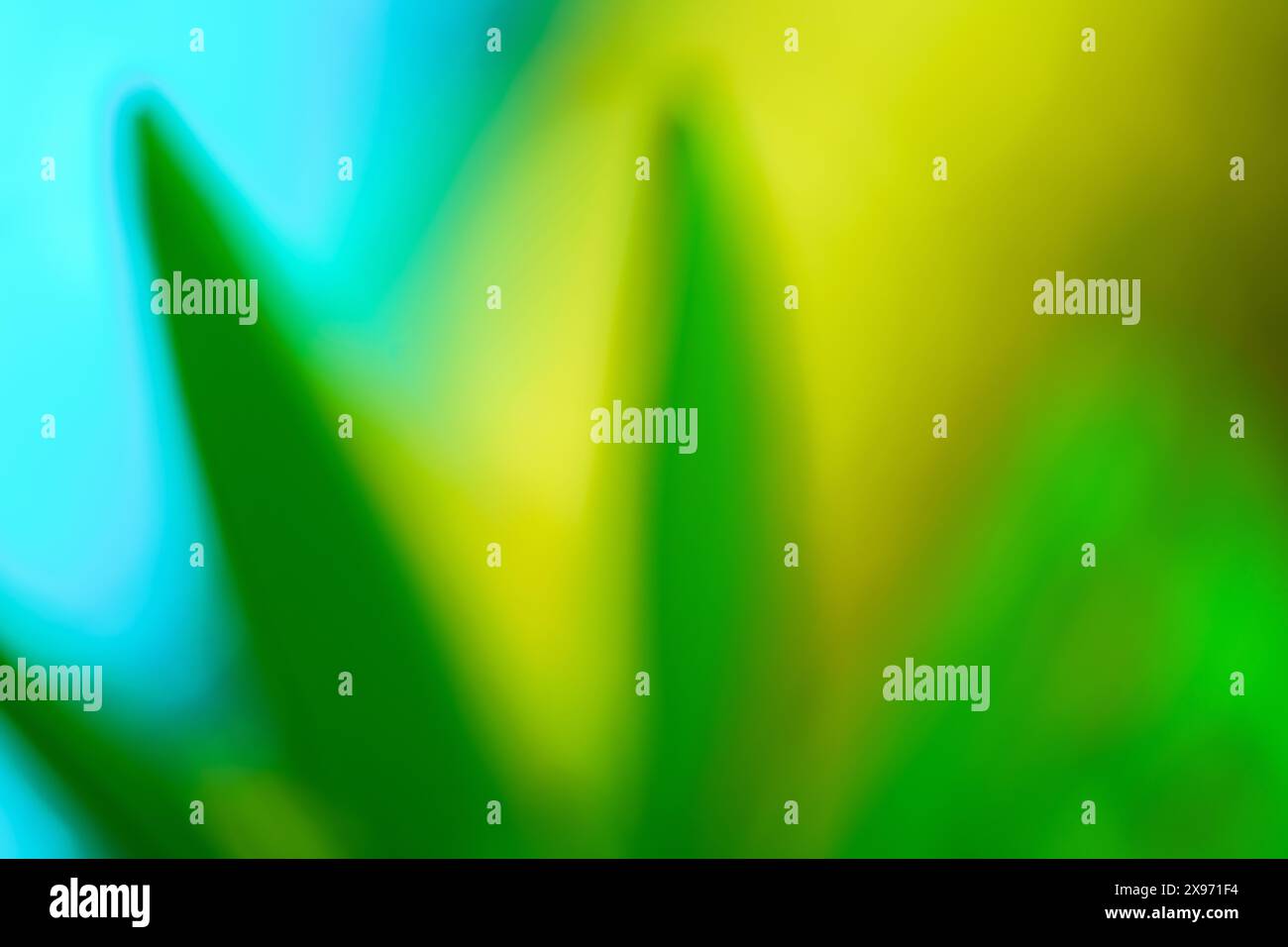 Healing colors abstract defocused leaves nature blue and green background. Calming colors for spring and summer. Stock Photo