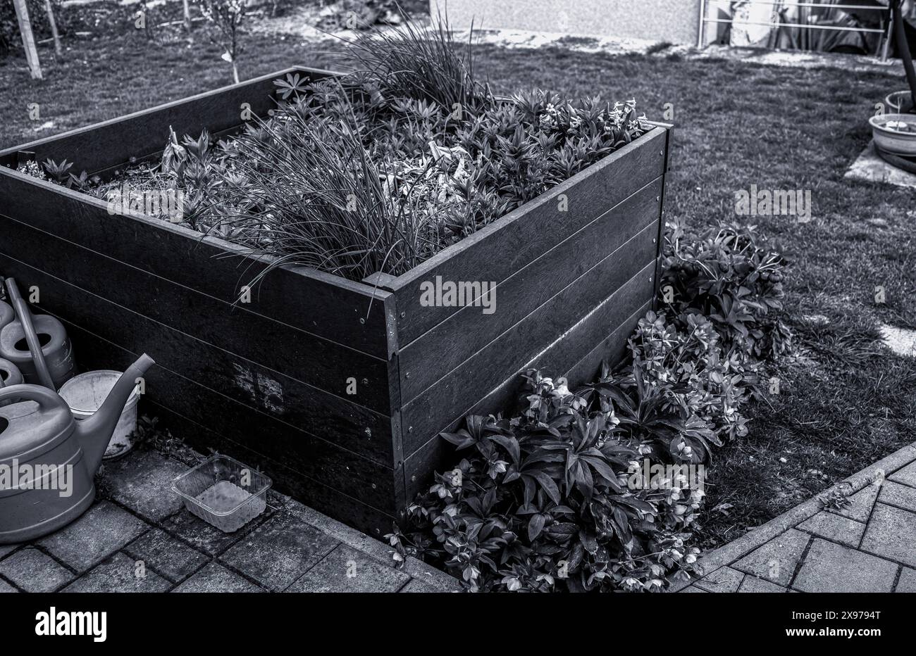 Courtyard raised garden bed hi-res stock photography and images - Alamy