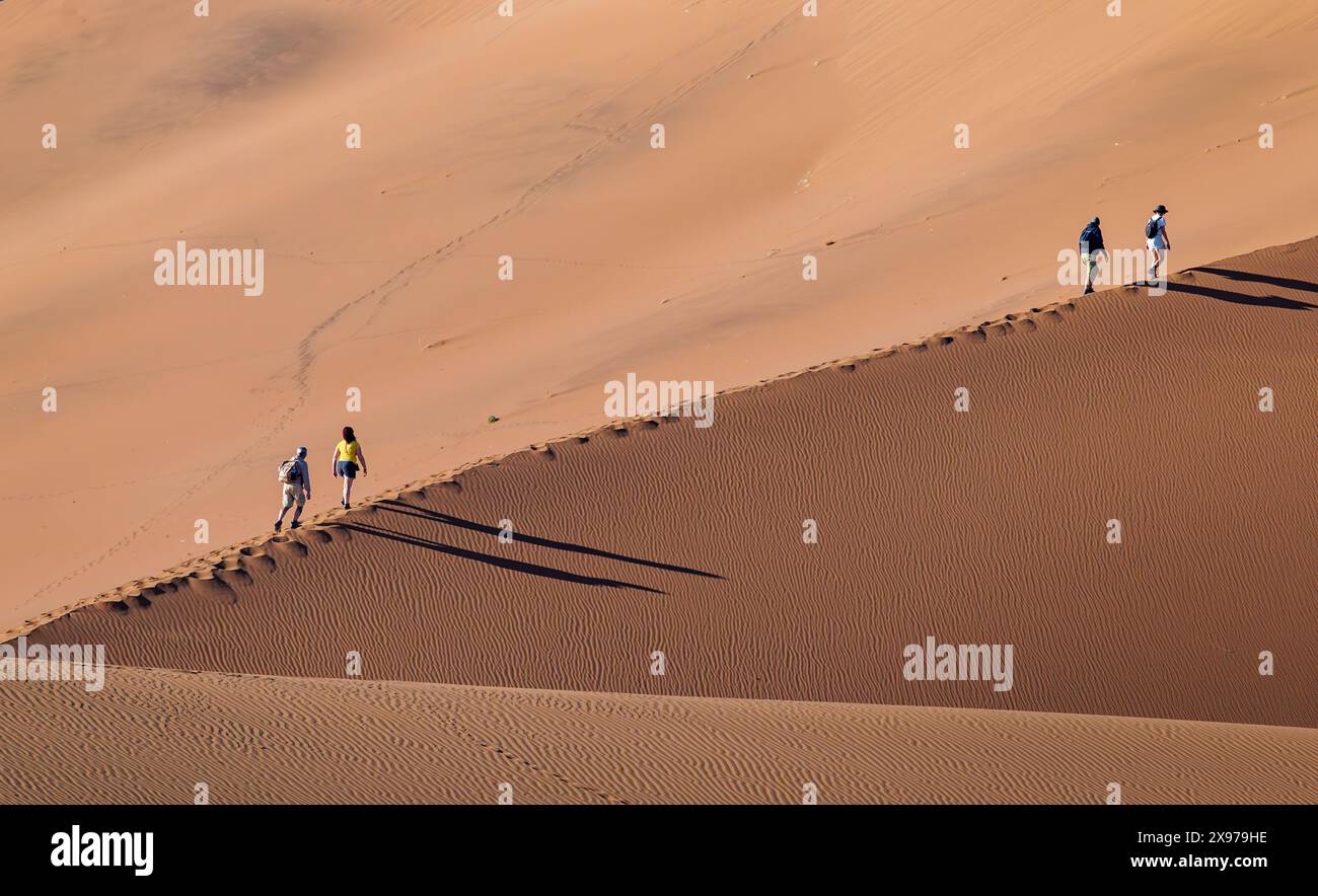 the world's largest sand dunes in Namibia, people walking on the ridge ...