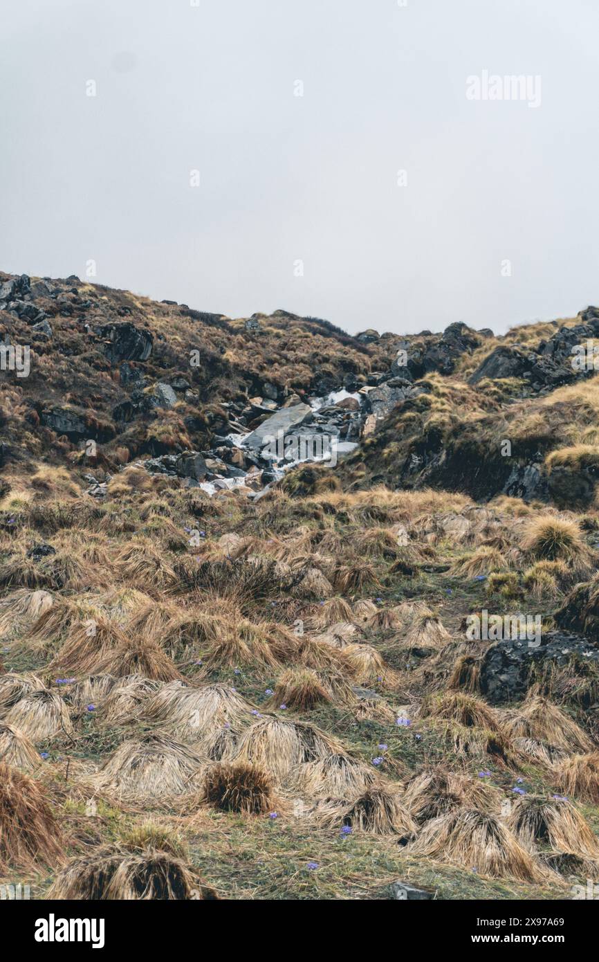 annapurna base camp road, annapurna base camp nepal, beauty of nepal