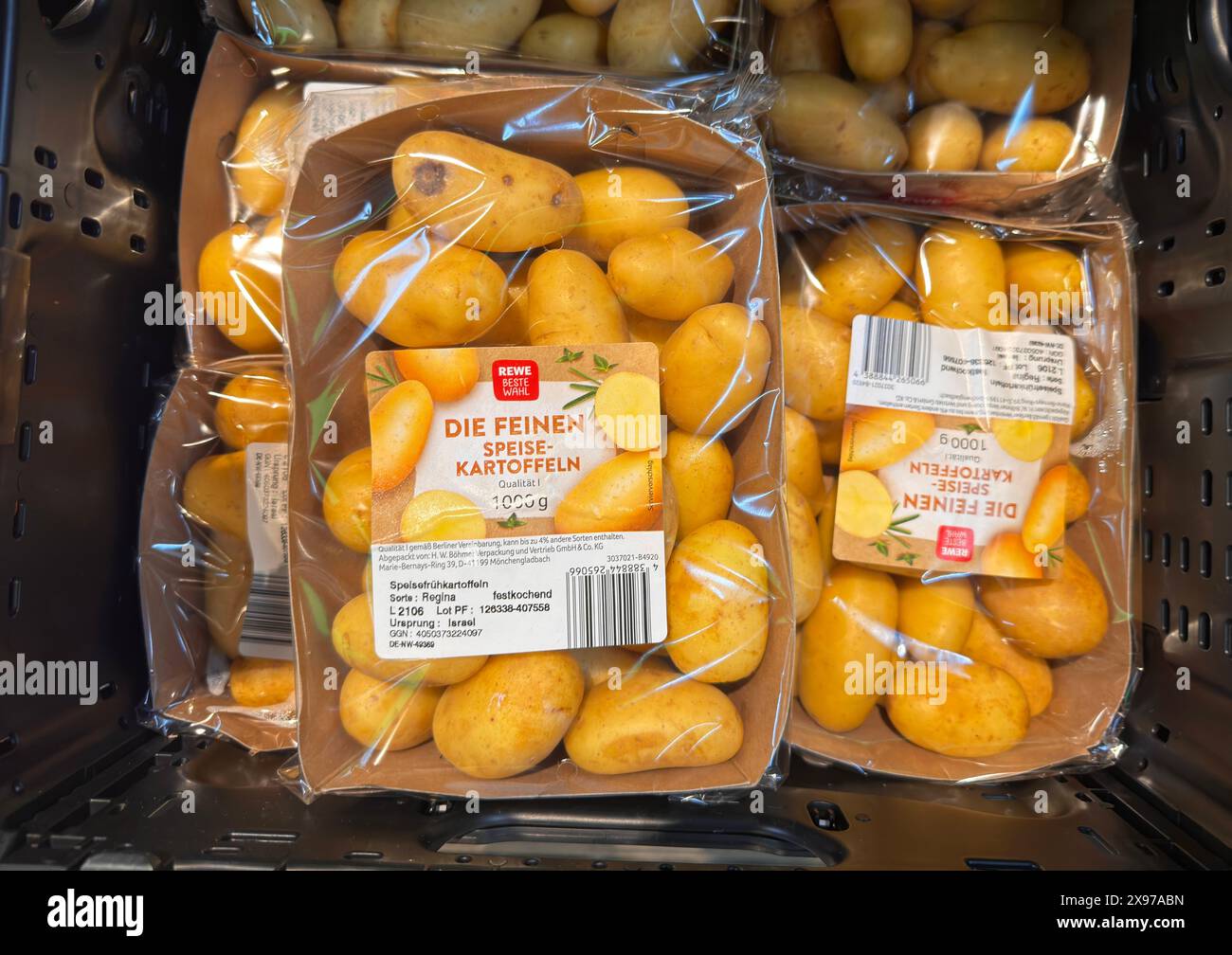Bintje Kartoffeln Rewe
