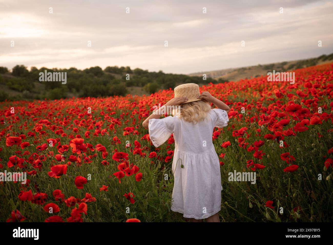 A young girl wearing a straw hat stands in a field of red poppies Stock ...