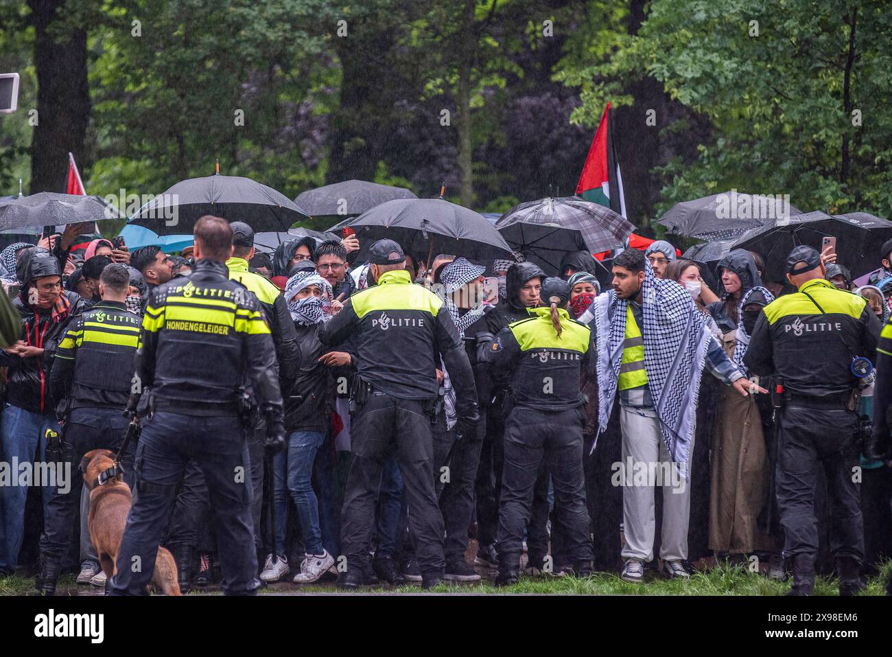 Pro-Palestinian demonstrators stand under umbrellas and police buffer line, during today's 'Hands of Rafah' demonstration in The Hague. A few hundred pro-Palestinian protesters stood opposite the 'Tweede Karmer' or, the 'Second Chamber' the Dutch seat of government in The Hague, during todayís 'Hands off Rafah - Where is your red line Rutte?'. The demonstrators stood in pouring rain, some with megaphones, and demanding the Dutch government change its stance in its support of Israel. The demonstration was in response to Rafah on Sunday, in which 45 people were killed, according to the Humas-run Stock Photo