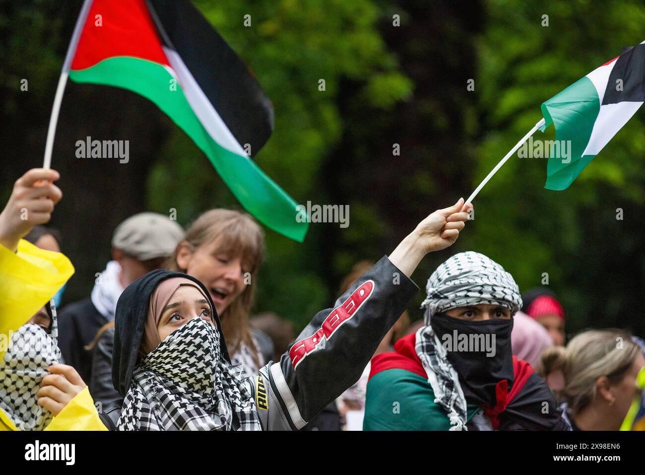 Young pro-Palestinian female supporter waves her national flag, during today's 'Hands of Rafah' demonstration in The Hague. A few hundred pro-Palestinian protesters stood opposite the 'Tweede Karmer' or, the 'Second Chamber' the Dutch seat of government in The Hague, during todayís 'Hands off Rafah - Where is your red line Rutte?'. The demonstrators stood in pouring rain, some with megaphones, and demanding the Dutch government change its stance in its support of Israel. The demonstration was in response to Rafah on Sunday, in which 45 people were killed, according to the Humas-run health mini Stock Photo