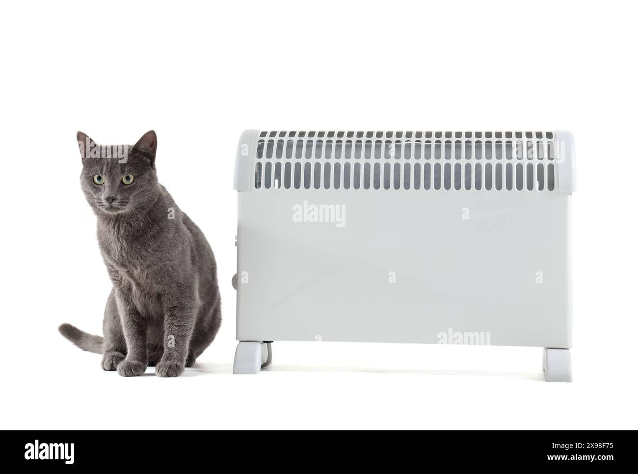 Cute cat with radiator on white background Stock Photo - Alamy