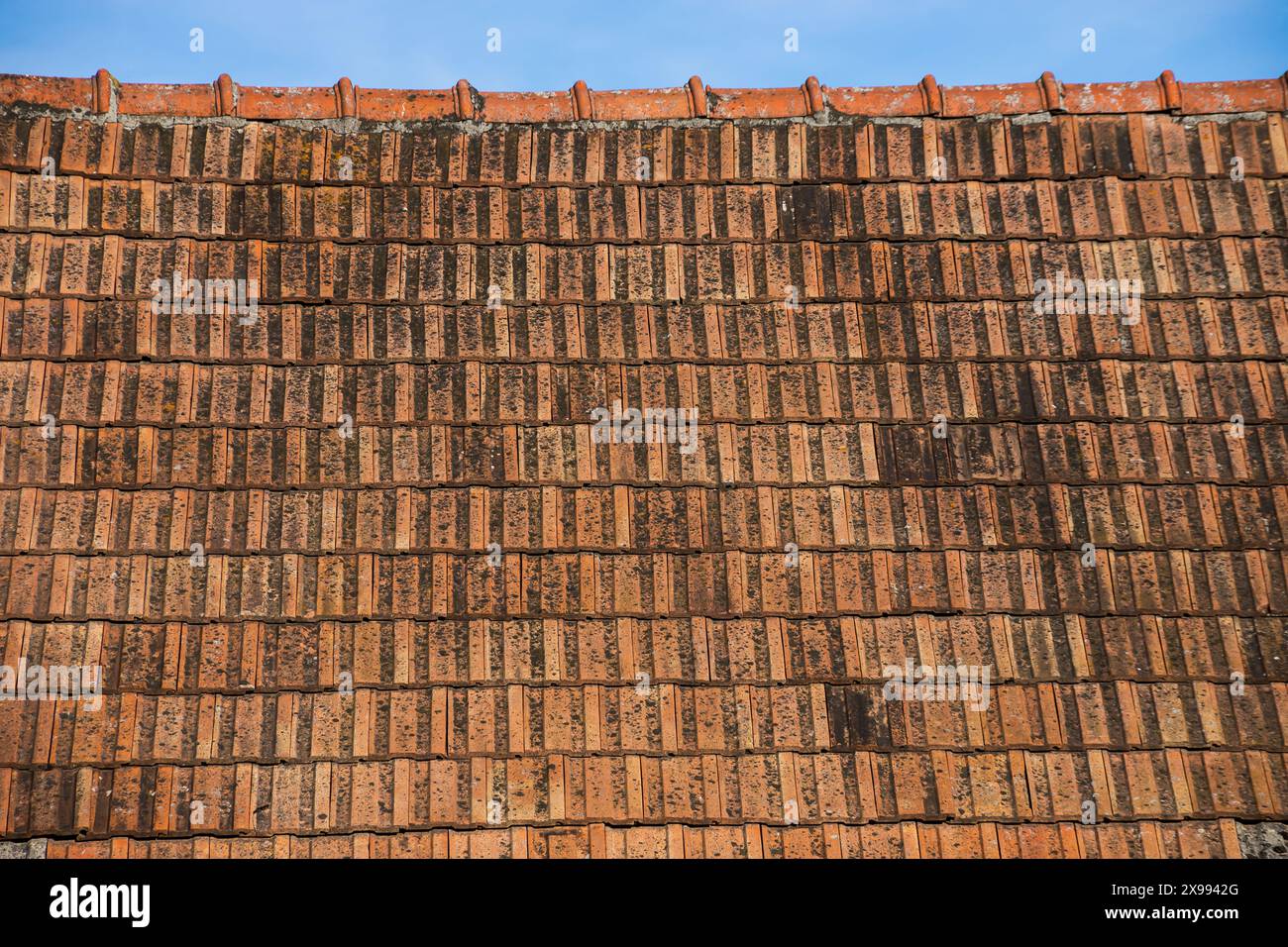 Seamless roof texture of flat red shingles with embedded line patterns ...