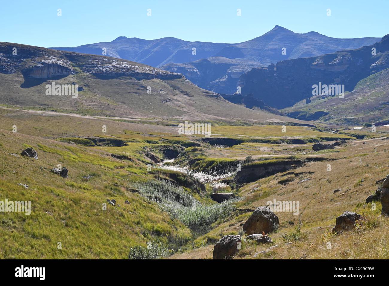 Golden Gate Highlands National Park near Clarens in the Free State, South Africa Stock Photo