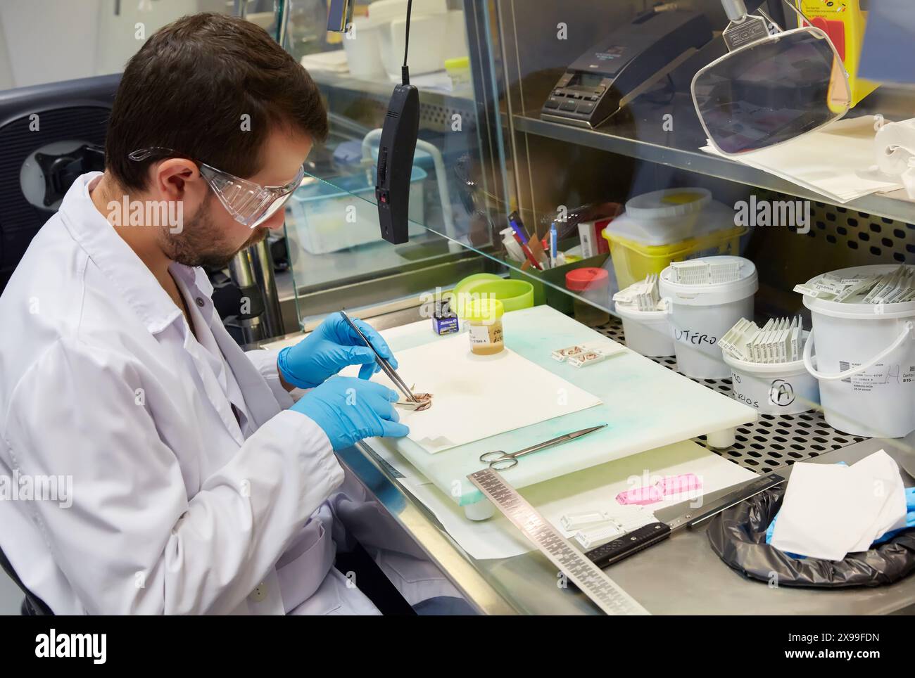 Selecting tissue sample, Anatomic Pathology, Hospital Donostia, San Sebastian, Gipuzkoa, Basque Country, Spain. Stock Photo