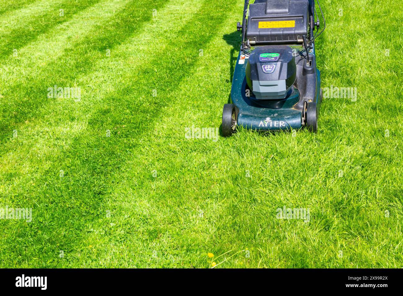 Hayter cordless electric lawnmower cutting lawn grass into stripes, UK