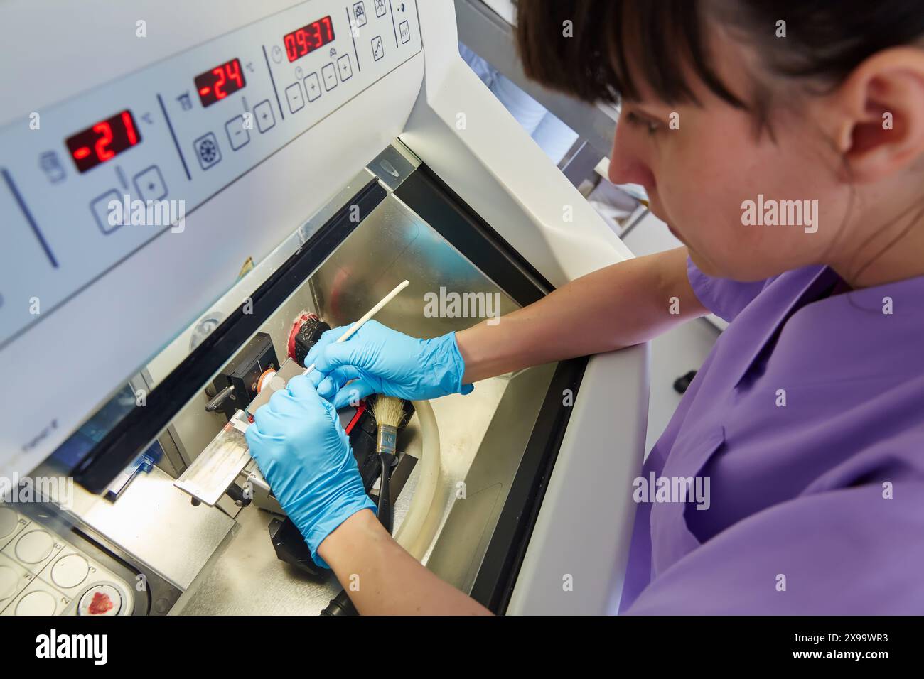 Cryostat for Standard Applications in the Clinical Histopathology Laboratory, Anatomic Pathology, Hospital Donostia, San Sebastian, Gipuzkoa, Basque Country, Spain. Stock Photo