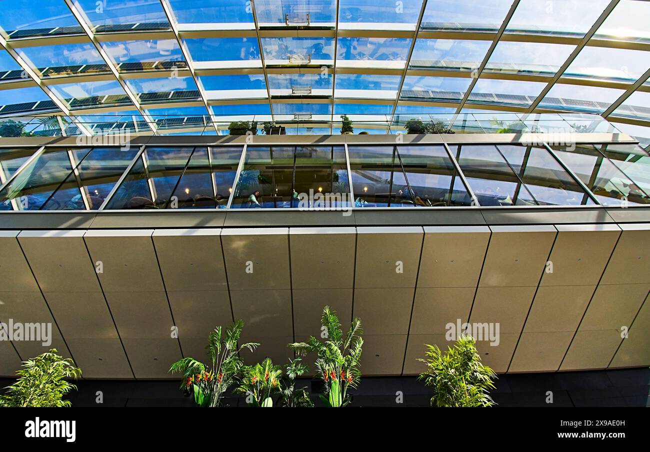 Sky Garden London 'Walkie Talkie' skyscraper 155mhigh rooftop garden