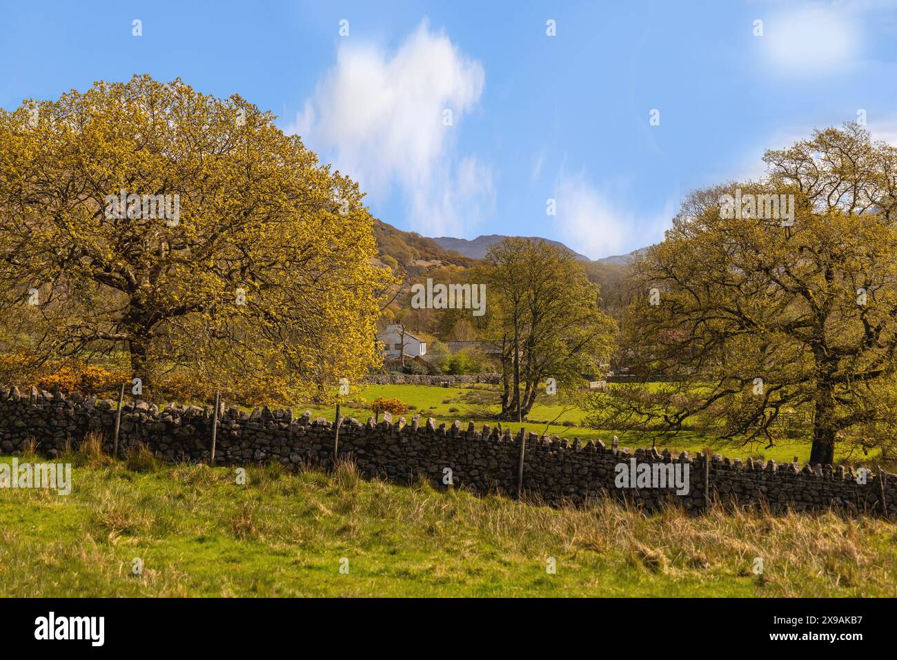 Spring in Eskdale valley, viewed from the Ravenglass and Eskdale Railway in the Lake District National Park, Cumbria, England, United Kingdom. Stock Photo