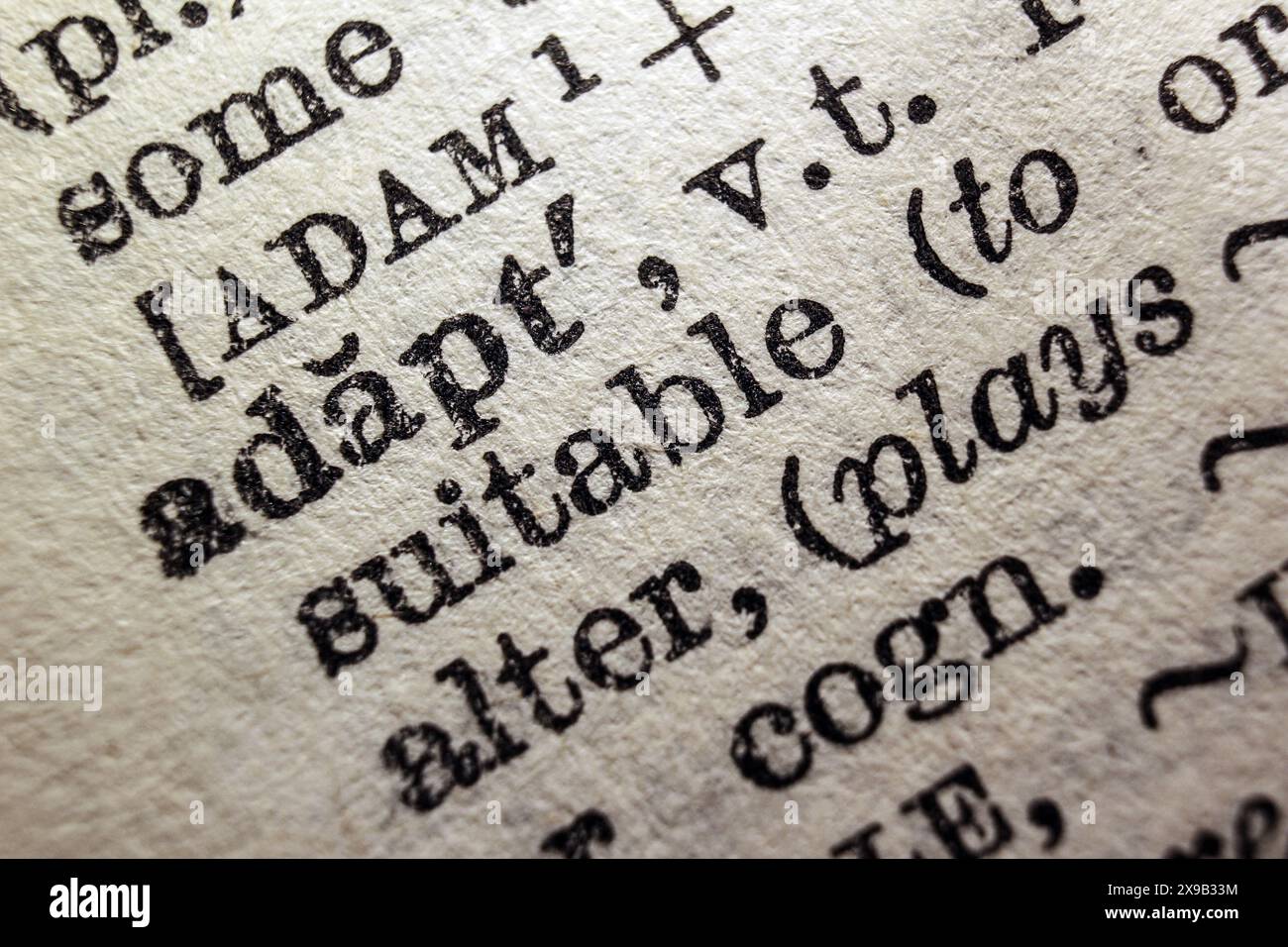 Word adapt on dictionary page, macro close-up Stock Photo