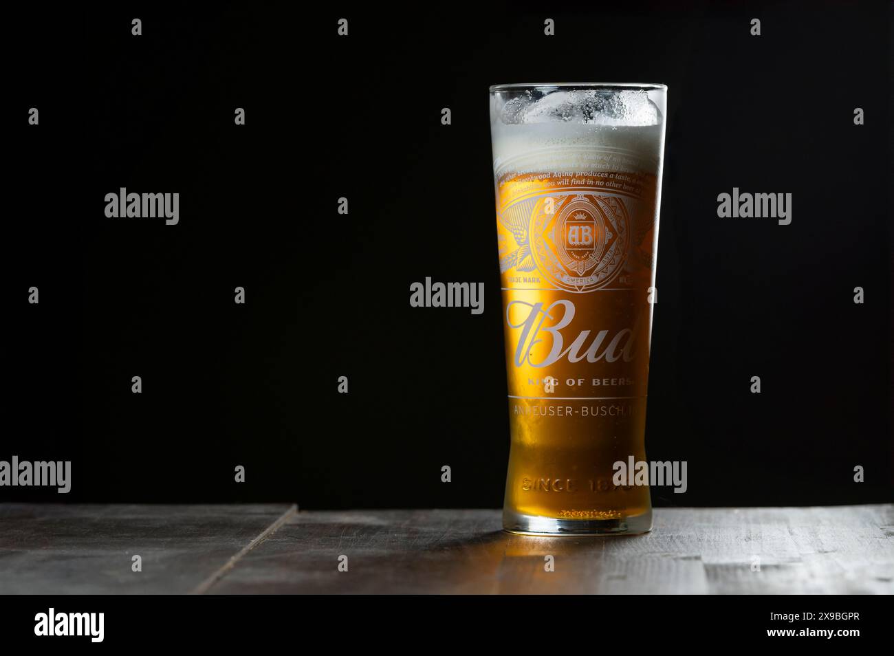 Bud beer bar hi-res stock photography and images - Alamy Bud beer bar hi-res stock photography and images - Alamy