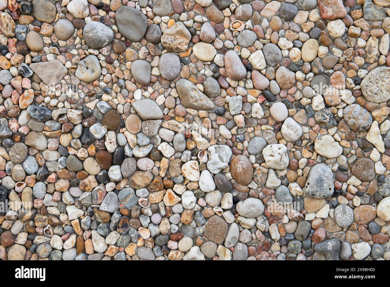 Stylized road pavement with colorful pebble and shells in concrete base, top view, background photo texture Stock Photo