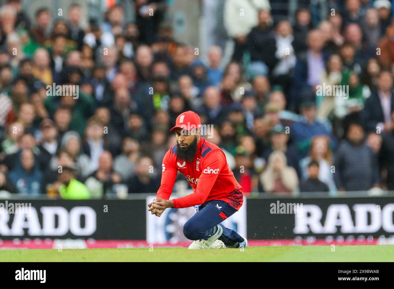 Off Ali Rashid London, UK. 30th May, 2024. England Adil Rashid catches Zaman off Moeen ...