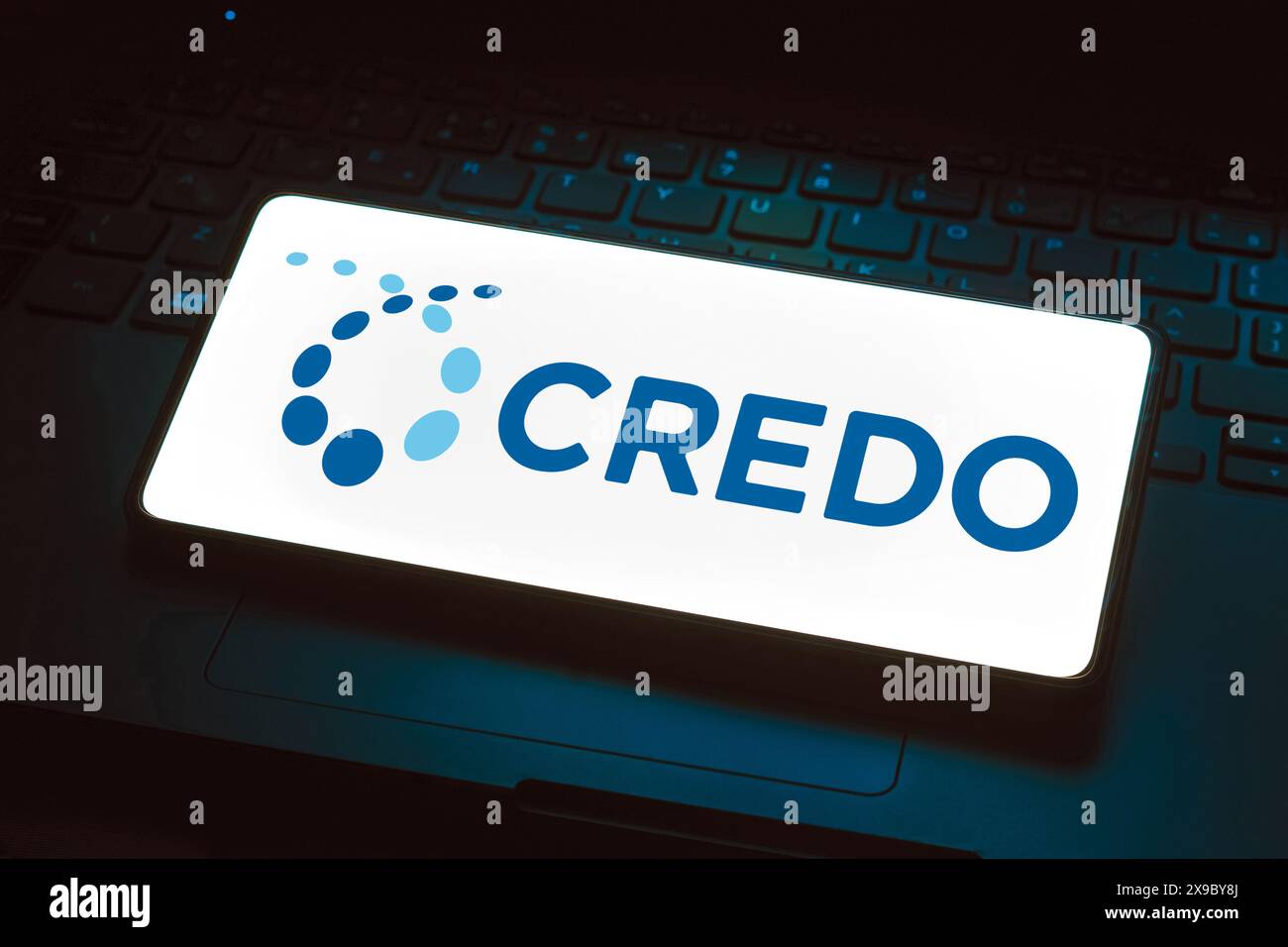 In this photo illustration, the Credo Technology Group Holding logo is ...