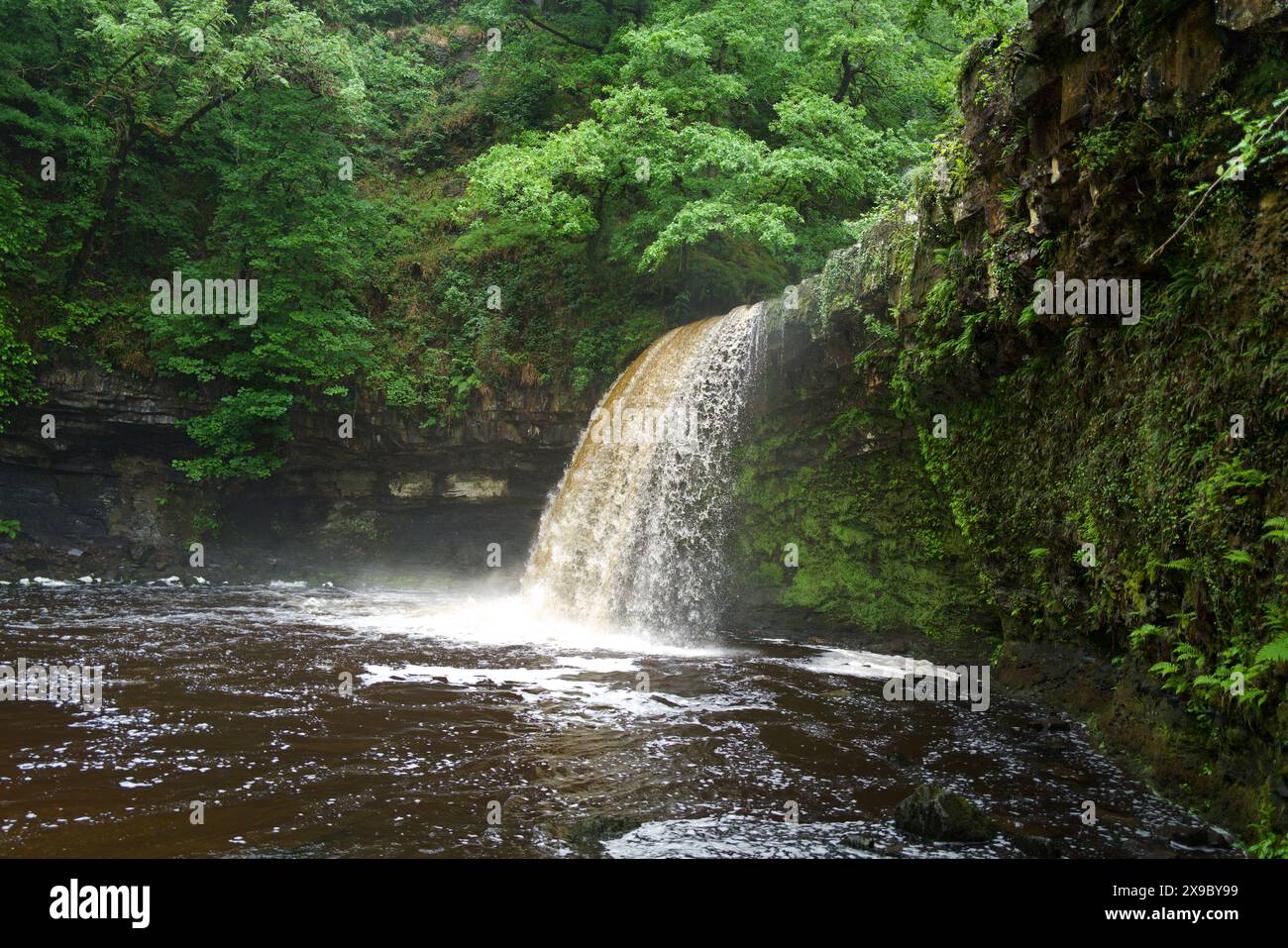 Sgwd Gwladys Waterfall (Lady Falls) is on the Afon (River) Pyrddin in ...