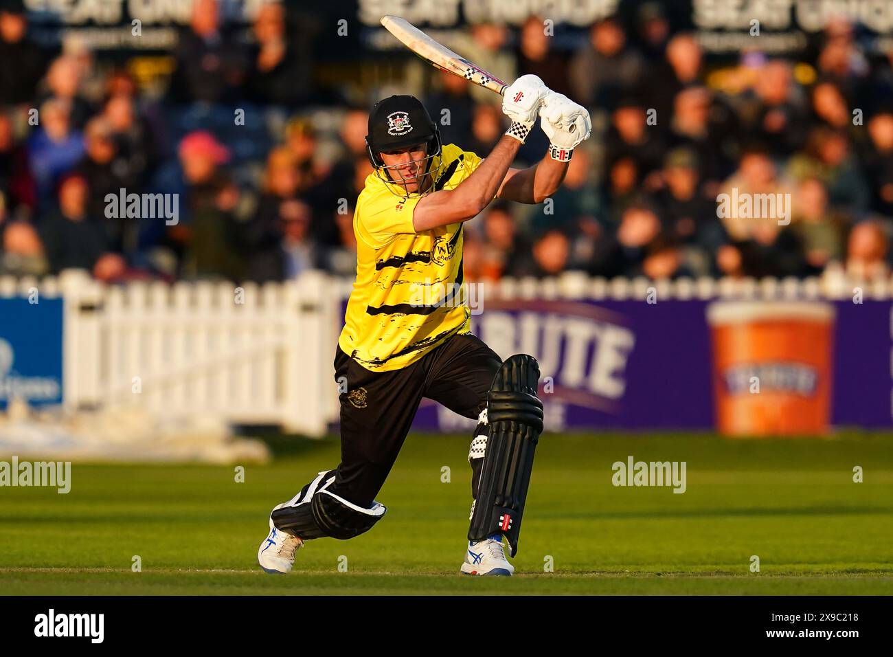 Bristol, UK, 30 May 2024. Gloucestershire's Beau Webster Batting During ...