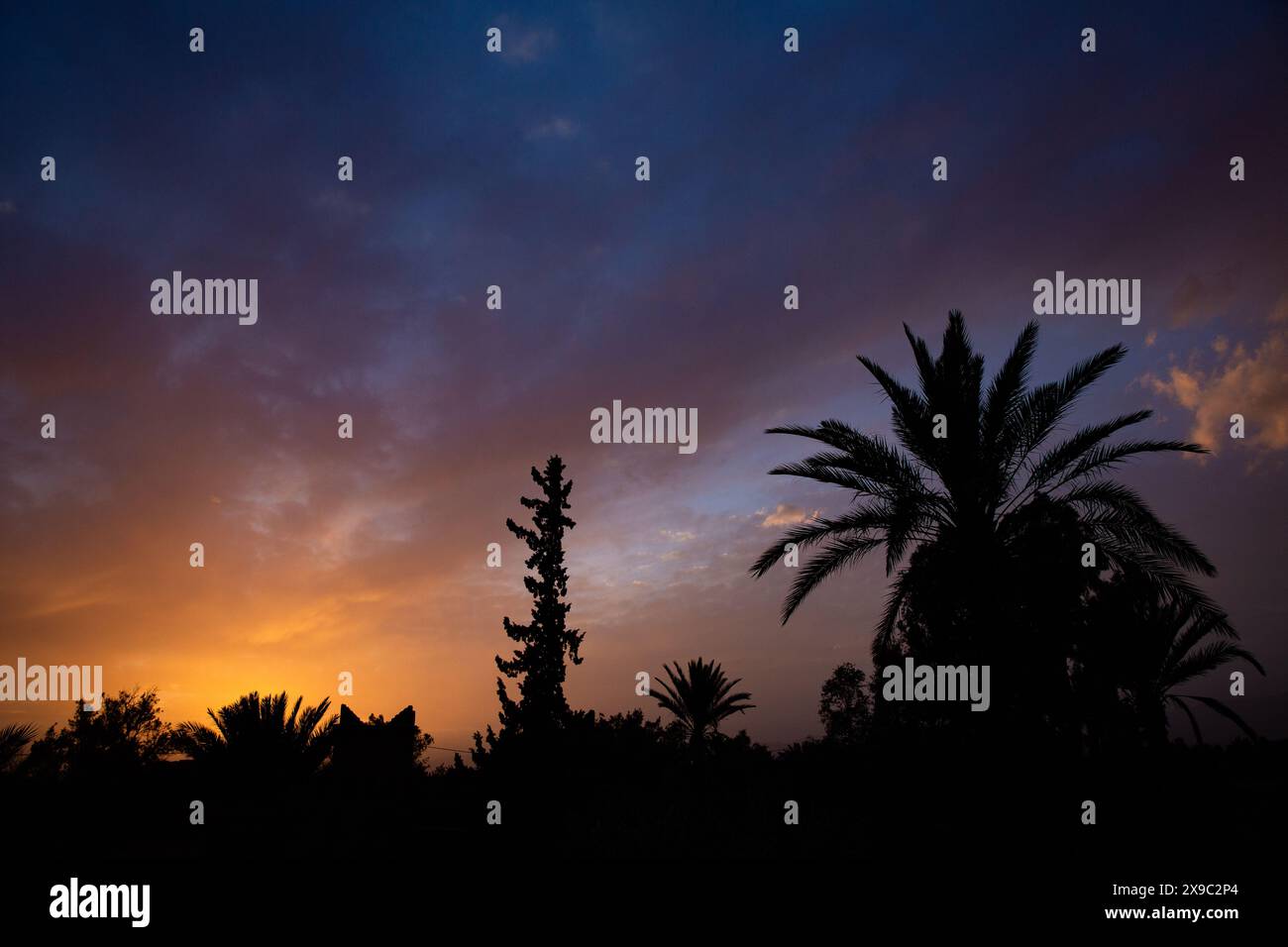 A palm oases or palmeraie in Skoura, Morocco at sunset from a garden balcony Stock Photo