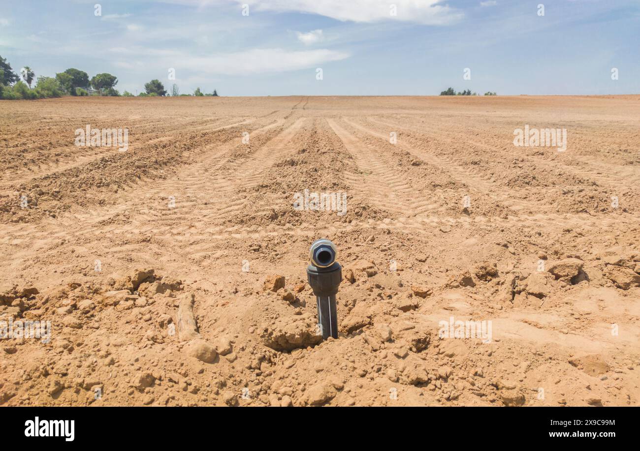 Installation of drip irrigation system for young vineyard. Main pipes covered by earth Stock Photo