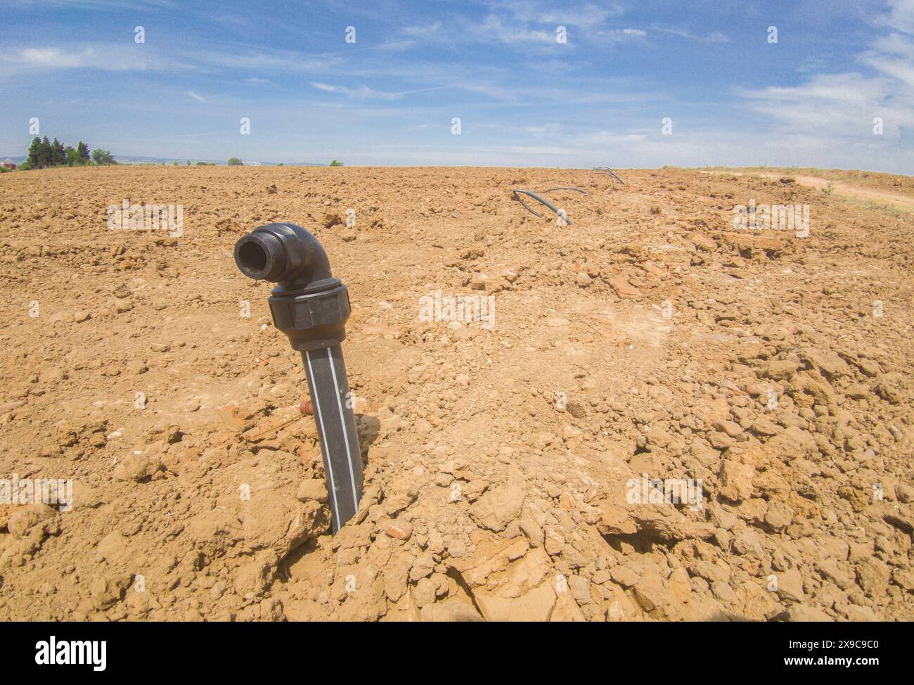 Installation of drip irrigation system for young vineyard. Main pipes ...