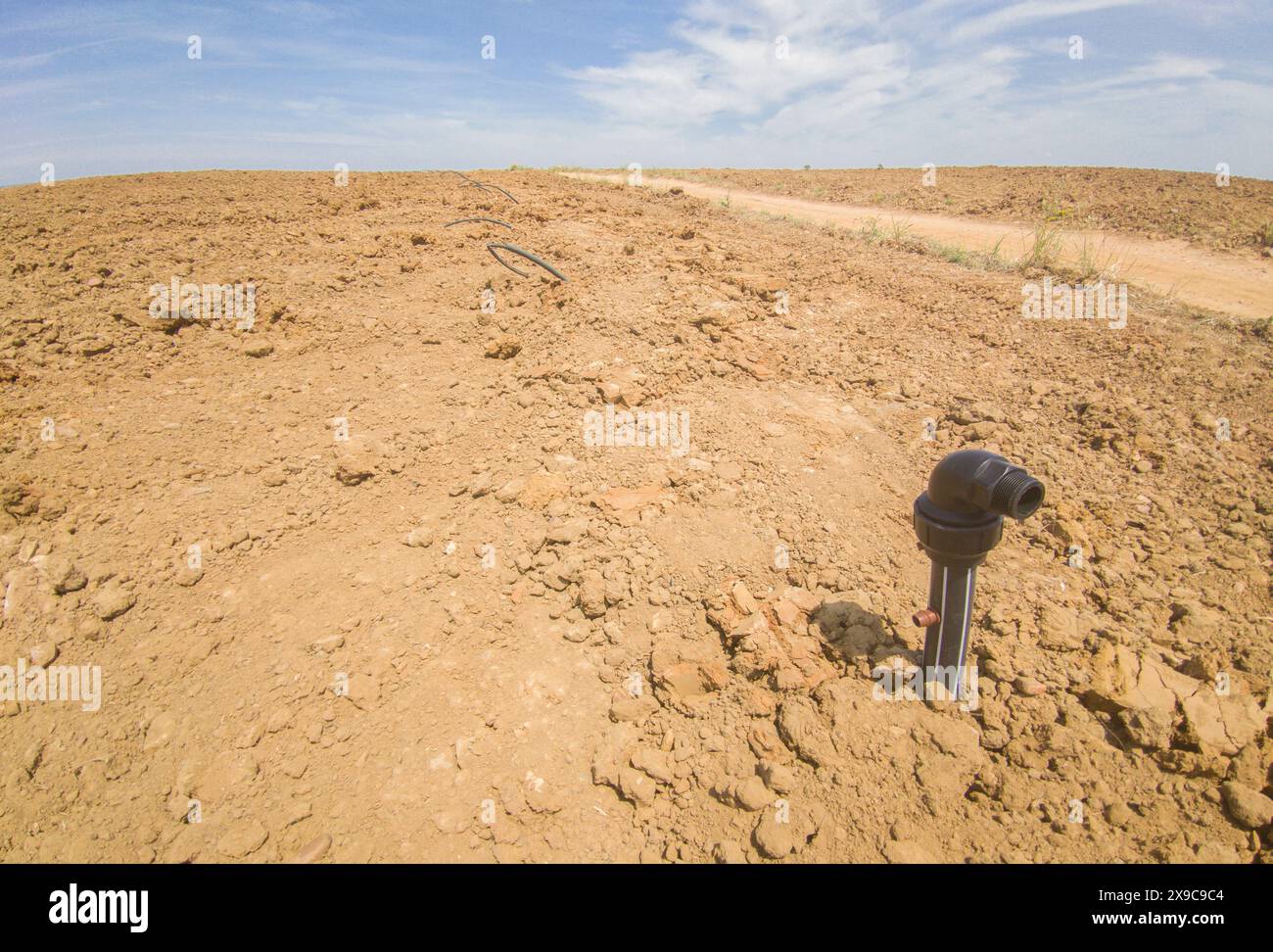 Installation of drip irrigation system for young vineyard. Main pipes covered by earth Stock Photo