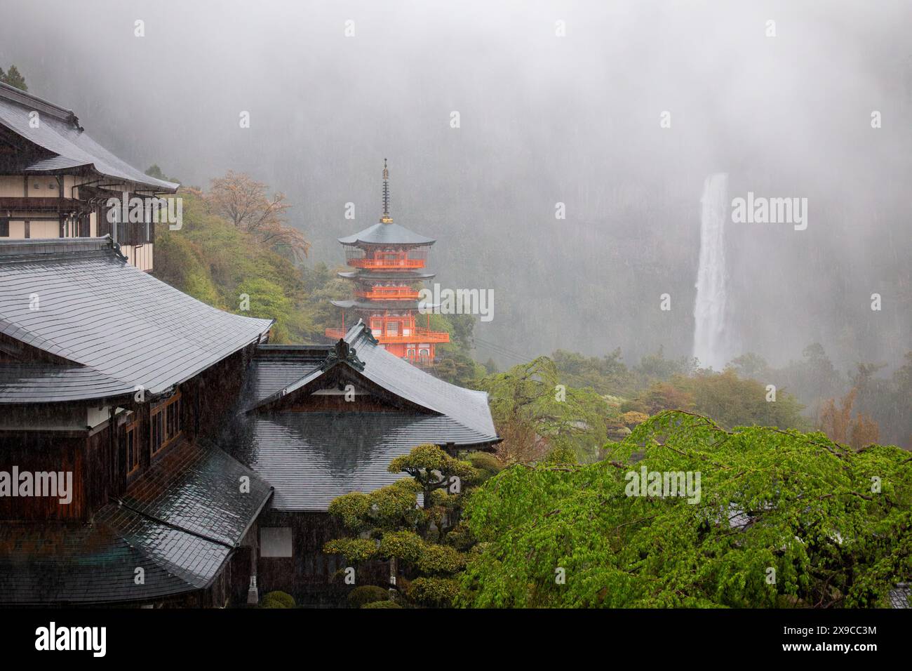 Nachisan Seiganto-ji Temple and its 3-storied pagoda with Nachi Falls behind on Kumano Kodo hiking trail, April, Japan Stock Photo
