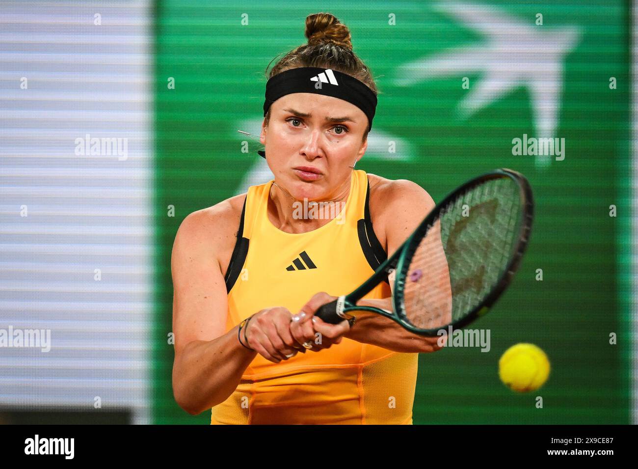 Elina Svitolina Roland Garros 2024 The "Familiarity Trap": Why Frequent Rivalries Are Reshaping Tennis Strategy