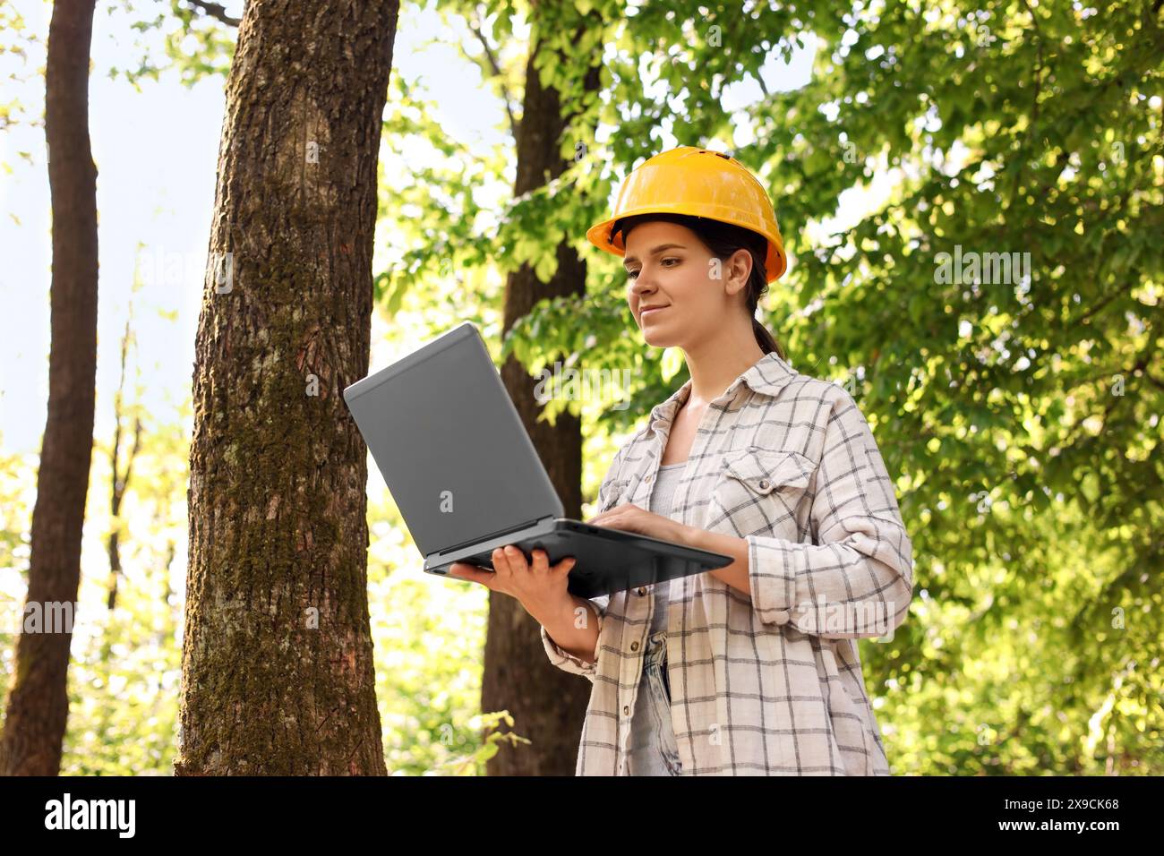 Forester in hard hat with laptop working in forest Stock Photo