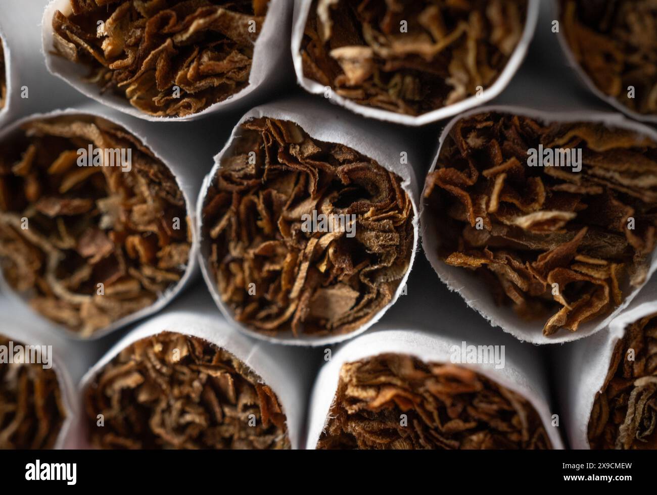 inside of cigarette Photo Stock Photo 129041825 chemicals inside cigarettes What's in