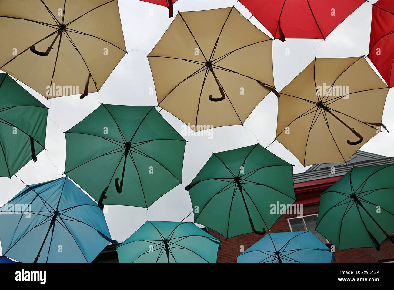 Umbrellas of Rue du Cul-de-Sac, Quebec City, Canada Stock Photo