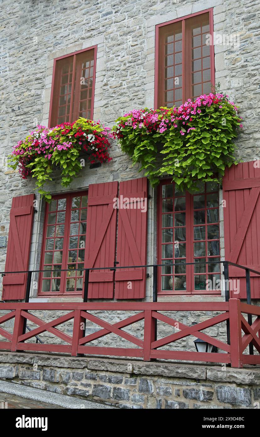 Wall with windows and flowers - Quebec City, Canada Stock Photo