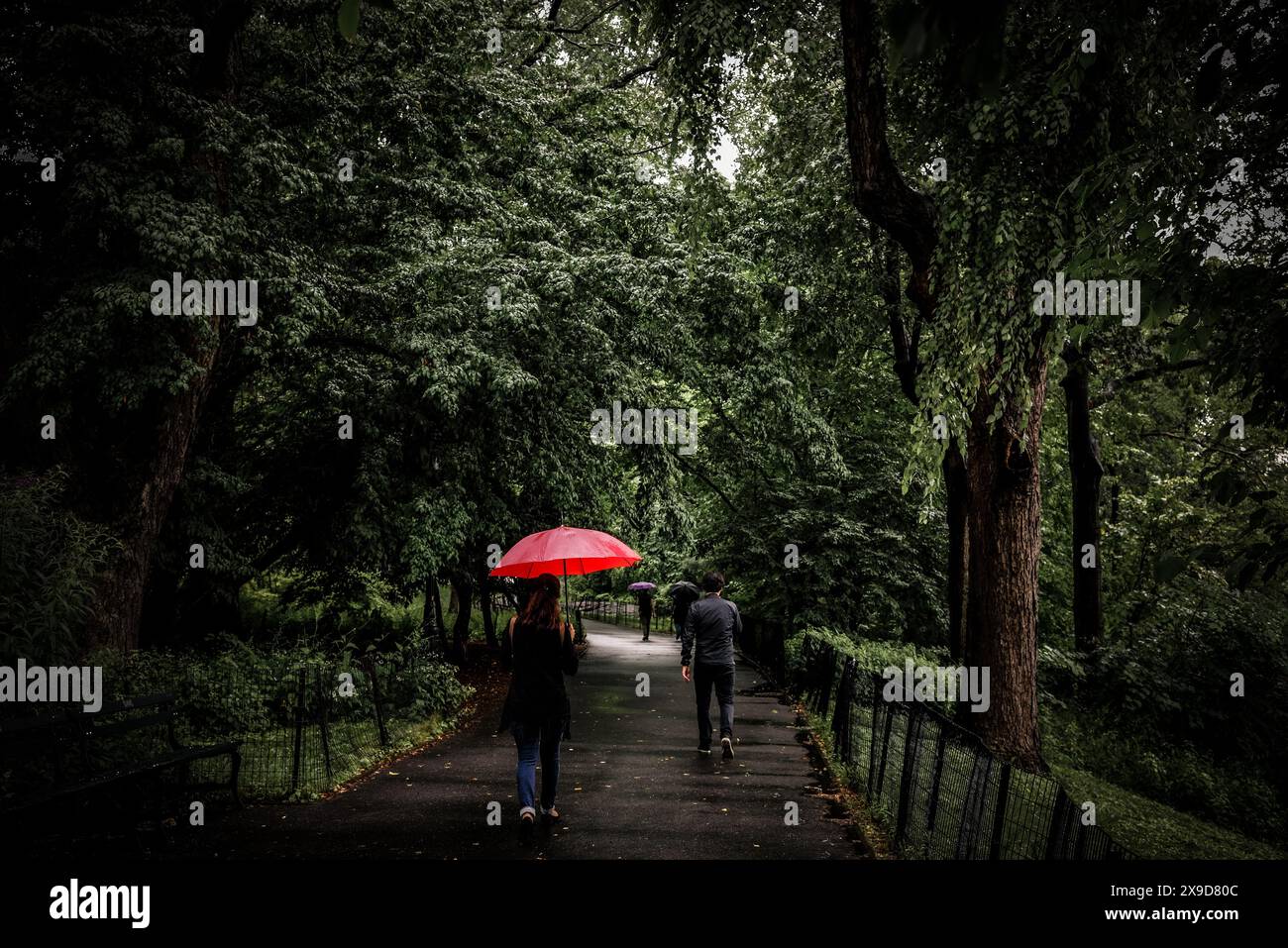 A Stroll in Central Park on a Rainy Day - Manhattan, New York City Stock Photo