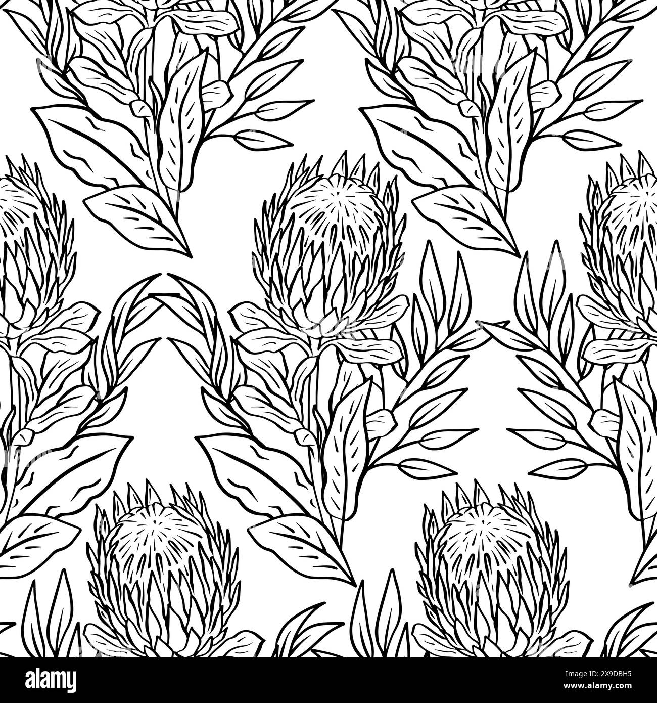 Black and white seamless pattern with line art protea flowers Stock ...