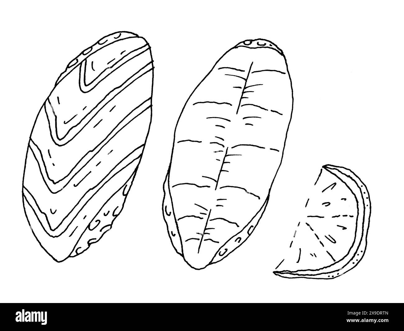 Three Distinct Types Of