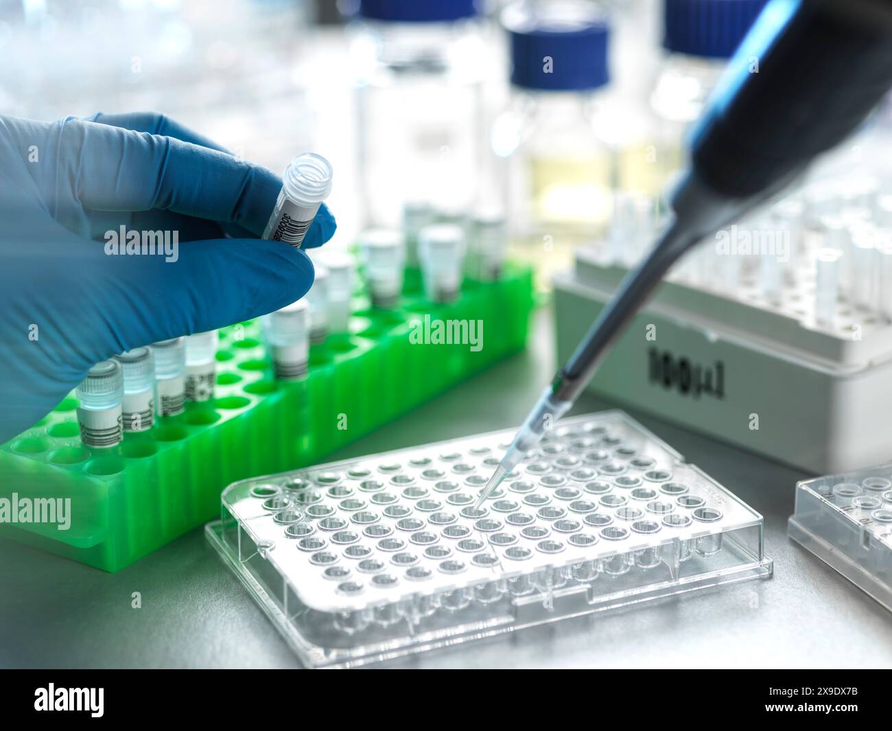 Genomics, Pipetting DNA sample for analysis in lab Stock Photo - Alamy