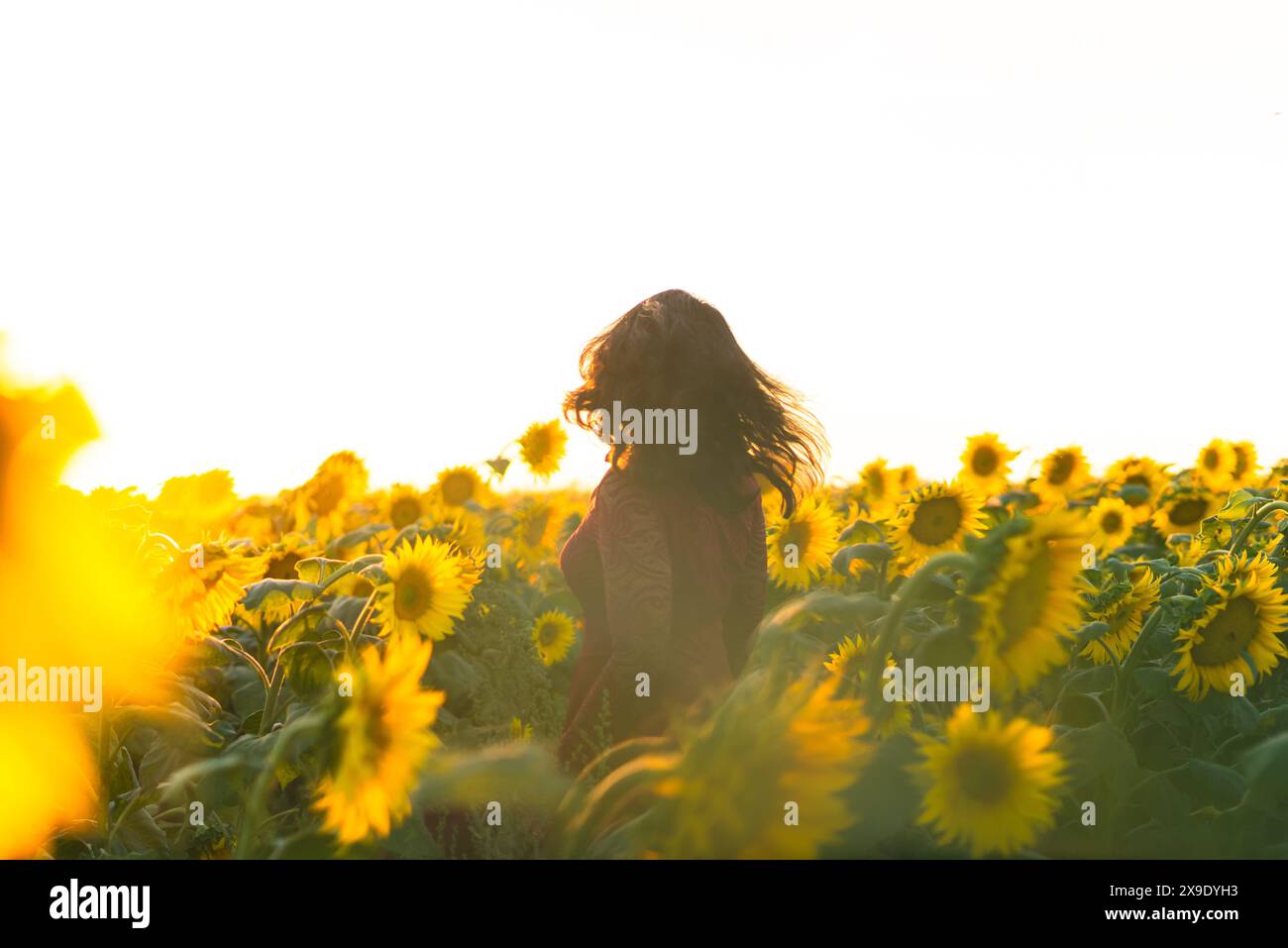 Woman in a red dress standing amidst blooming sunflowers at sunset Stock Photo