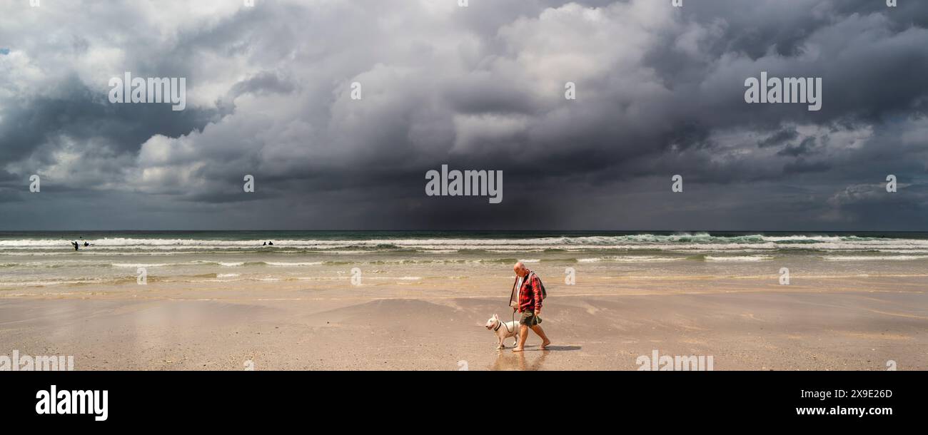 A panoramic image of a dog walker and his pet English Bull Terrier walking along Fistral Beach as dark, brooding rainclouds approach the coast of Newq Stock Photo